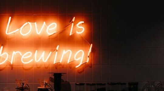 Foto Neon nudi ovakav tip reklama.