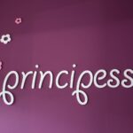 Friyerski salon principessa Niš