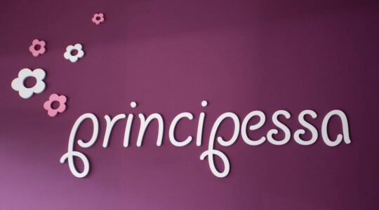 Friyerski salon principessa Niš